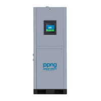 Генератор азота Pneumatech PPNG 30 S